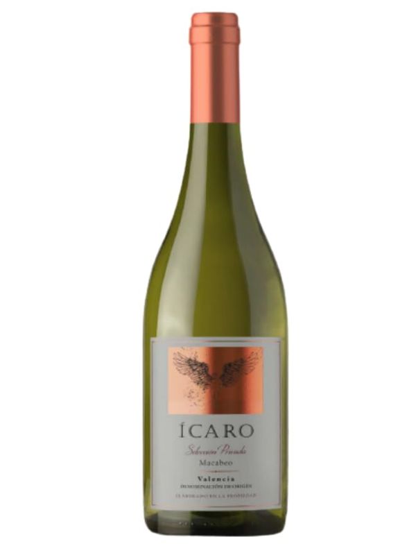 000751_Icaro_Macabeo.png